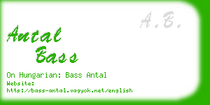 antal bass business card